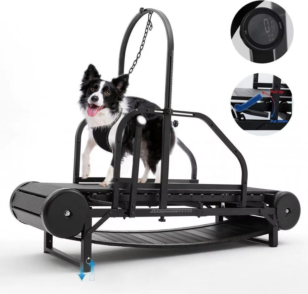 New Pet Treadmill Dog Treadmill Pets Fitness Equipment Pet Treadmill
