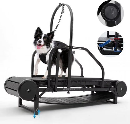 New Pet Treadmill Dog Treadmill Pets Fitness Equipment Pet Treadmill
