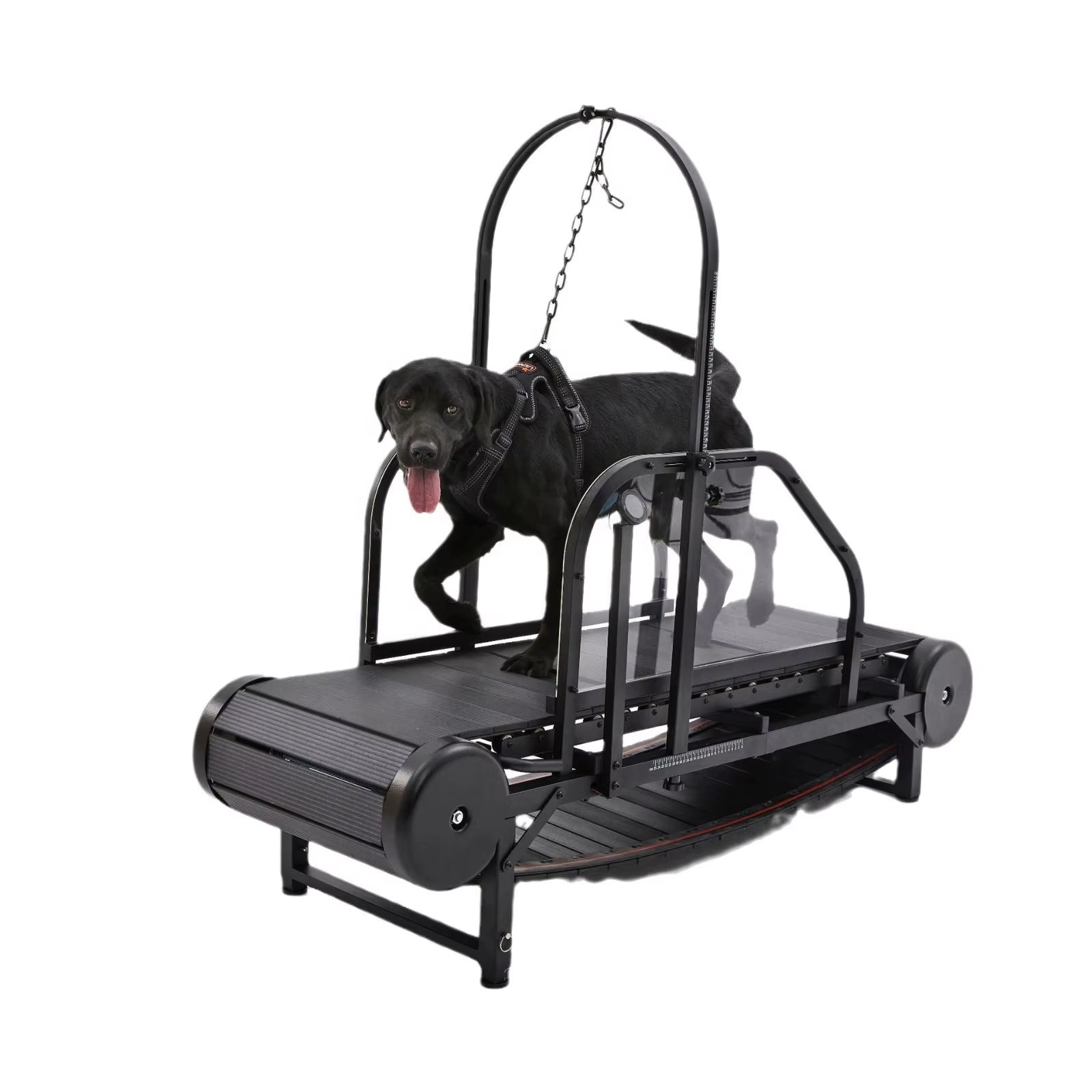 New Pet Treadmill Dog Treadmill Pets Fitness Equipment Pet Treadmill