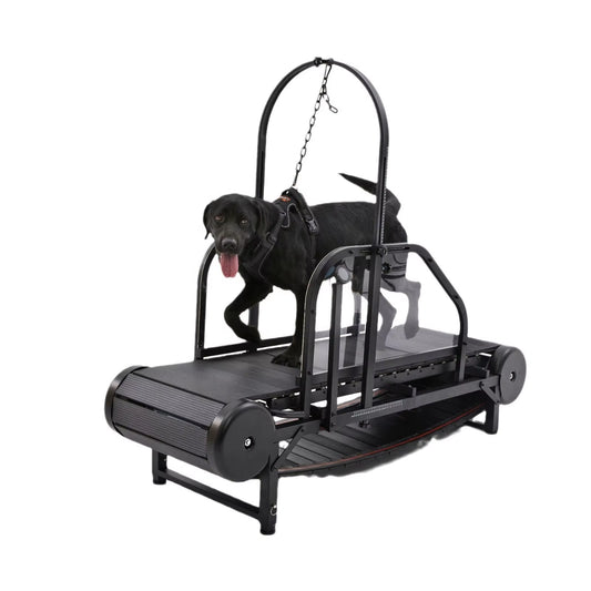 New Pet Treadmill Dog Treadmill Pets Fitness Equipment Pet Treadmill